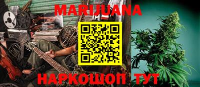 индика Можга