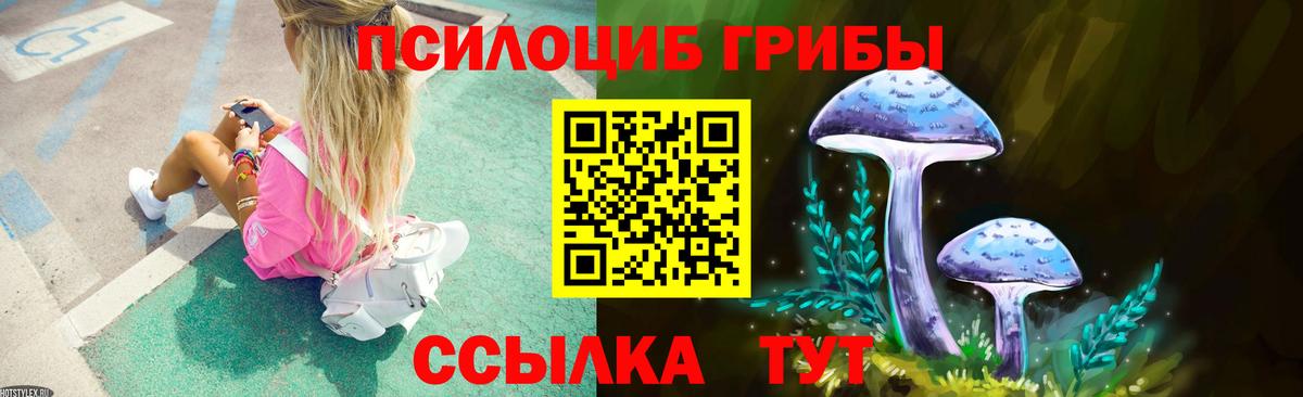Псилоцибиновые грибы мухоморы  Вход с VPN  где продают наркотики  Верхняя Пышма 